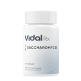 Saccharomyces