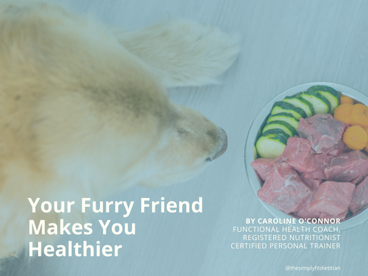 Your Furry Friend Makes You Healthier!