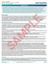 Gut Zoomer